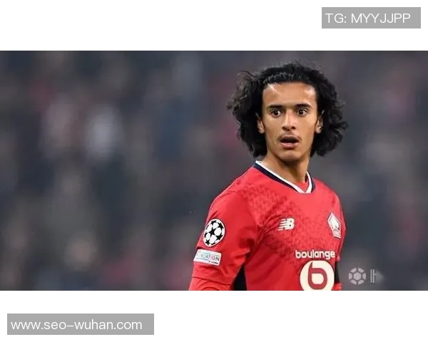 阿迪足球明星的辉煌历程与成就探秘，激励无数年轻球员追逐梦想